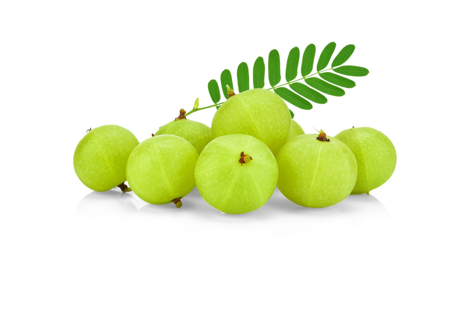 Indian Gooseberry (Amla) - Image 2