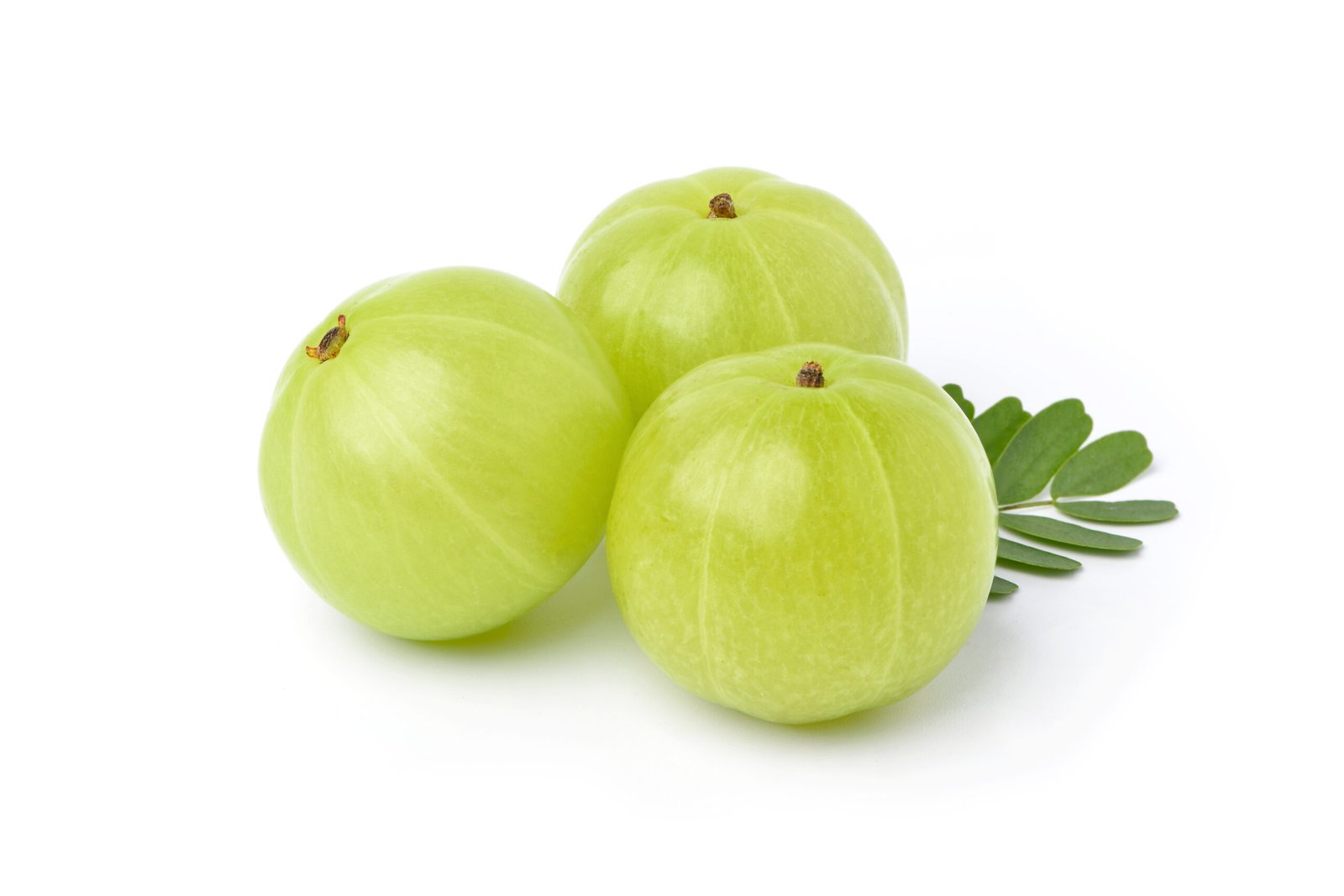 Indian Gooseberry (Amla)